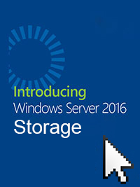 Windows Server 2019 Storage bei Future-X kaufen Windows Server 2019 Storage