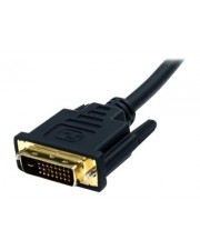 StarTech.com 6 ft DisplayPort to DVI Cable M/M DisplayPort-Kabel M bis DVI-D M 1.83 m Schwarz (DP2DVI2MM6)