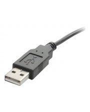 StarTech.com USB 2.0 auf Seriell RS232 / DB9 / DB25 Adapterkabel Serieller Adapter Grau