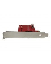 StarTech.com 2x M.2 SSD Controller Card PCIe SATA III NGFF Speicher-Controller / 6Gb/s 6 GBps 2.0 x2 (PEX2M2)