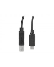 StarTech.com 3m / 10 ft USB C to B Printer Cable M/M 2.0 USB-Kabel Typ C M gerade bis Type B M Thunderbolt 3 / 3 m Schwarz