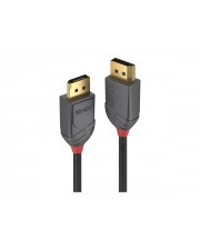 Lindy Anthra Line DisplayPort-Kabel DisplayPort M bis M 1.2 3 m rund Schwarz