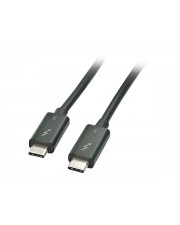 Lindy Thunderbolt-Kabel USB-C M bis M 2 m umkehrbare Stecker 4K Untersttzung Schwarz