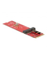 Delock Schnittstellenadapter M.2 PCIe USB (63343)
