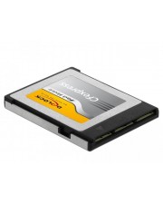 Delock CFexpress Speicherkarte 256 GB (54066)