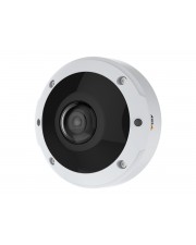 Axis Netzwerkkamera Fix Dome Fisheye M3077-PLVE 180/360 6 MP