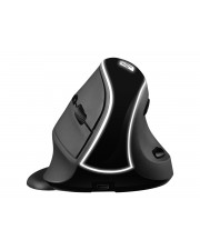 SANDBERG Pro Vertikale Maus ergonomisch optisch 6 Tasten kabellos 2,4 GHz kabelloser Empfnger USB Box (630-13)