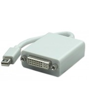 Techly Adapter Mini-DisplayPort auf DVI 0,15 m (IADAP-MDP-DVIF)