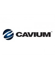 Fujitsu Cavium FastLinQ QL41134HLCU Netzwerkadapter Low-Profile 10 Gigabit SFP+ x 2 fr PRIMERGY RX1330 M4 RX2520 RX2540 RX4770 TX1320 TX1330 TX2550 (S26361-F4069-L502)