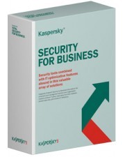 Kaspersky Endpoint Security for Business ADVANCED PROMO 3 Jahre Download Lizenzstaffel, Multilingual (15-19 Lizenzen)